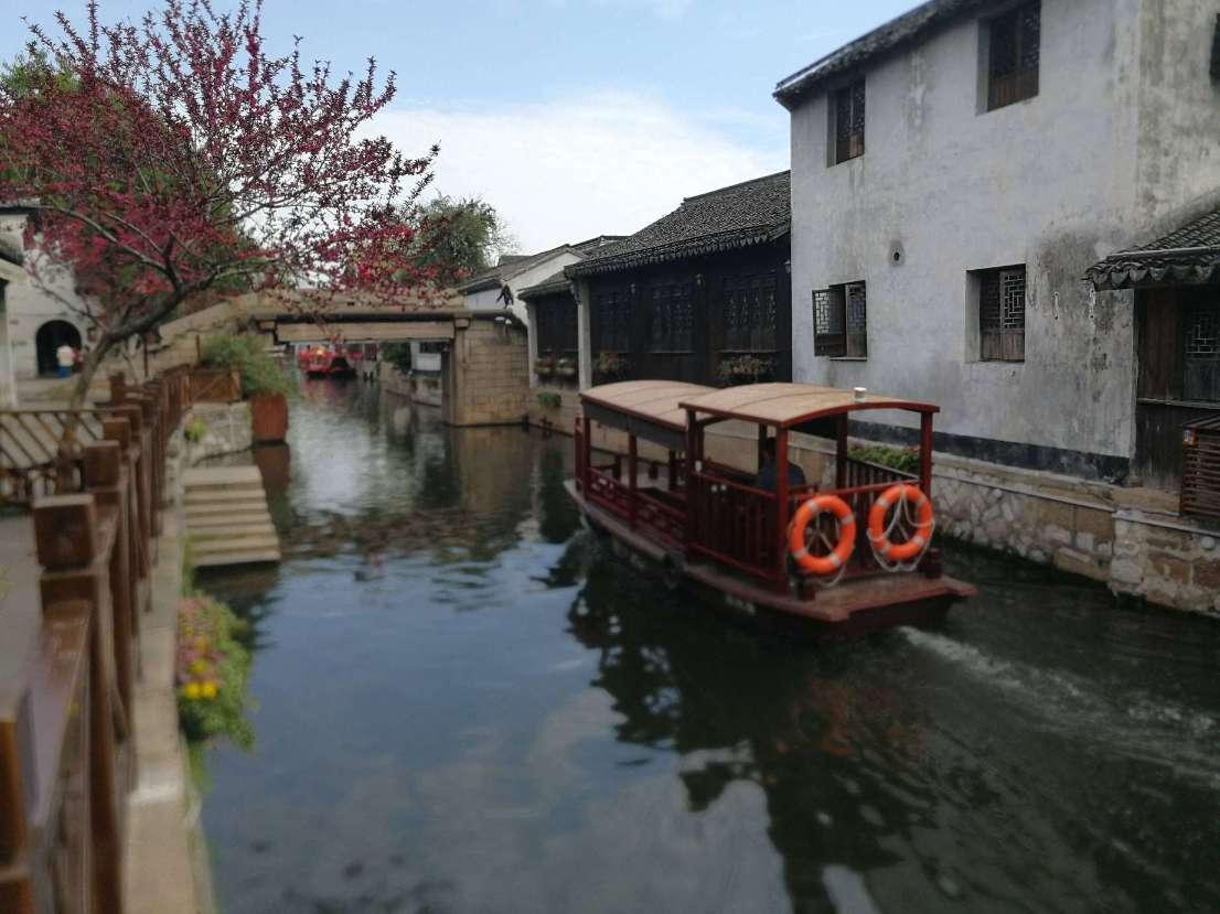 中考满分作文:《开在记忆里的花朵》